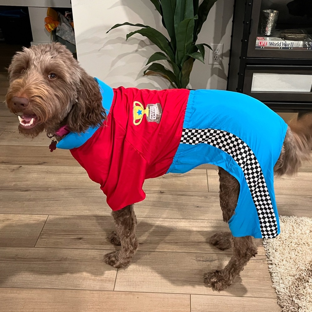 Race Car Driver Dog Halloween Costume